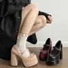 Platform Square High Heel Women's Mary Jane Shoes Fashion Butterfly-knot Shoes Spring Autumn Wedding Party Shoes