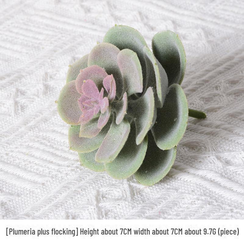 Mini Flocking Artificial Succulent Bonsai for DIY Wall Decor