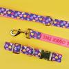 Luxury Brand Summer Colorful Season Adjutable Dog Collar And Leash Set For Small Medium Large Dogs