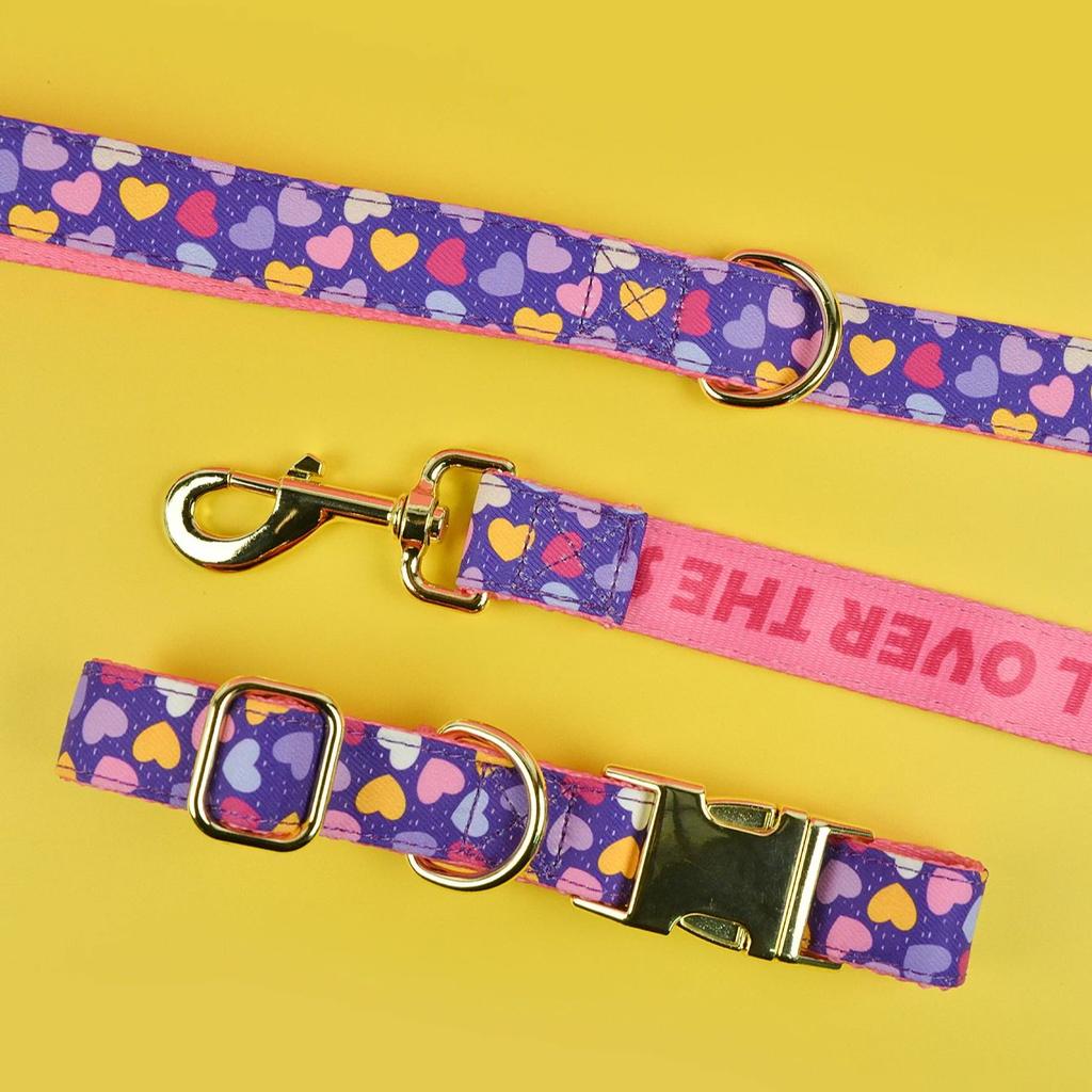 Luxury Brand Summer Colorful Season Adjutable Dog Collar And Leash Set For Small Medium Large Dogs