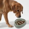 Pet Anti-Spill Slow Feeder Bowl for Small and Medium Dogs - Anti-Choke Design
