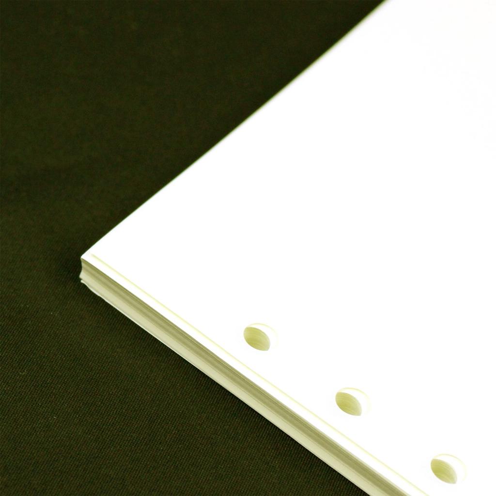 Raymay Fujii DaVinci Refill Value Notebook, Plain,