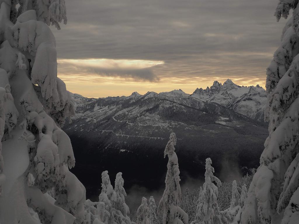 Объектив OLYMPUS Micro Four Thirds DIGITAL ED с высоким увеличением, зум-объектив с защитой от пыли и брызг M.ZUIKO 12-200 мм F3.5-6.3