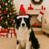 Adjustable Pet Christmas Hat Cute Pet Party Hat Pet Costume Accessory Festive Pet Hat  Pet Outfit