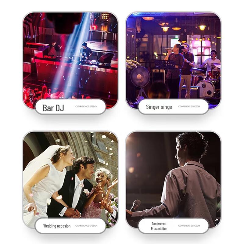 KaYouLa KYL-210 10-inch Passive Full-Range Speaker