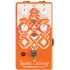 EarthQuaker Devices EQD Envelope Filter Spatial Delivery V3