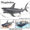 Oenux Новая модель морского животного: тюлень, морской лев, косатка, голубая китовая акула, мегалодон, дельфин. Игрушка для аквариума, морской мир, животные, модель для детей. Подарок.
