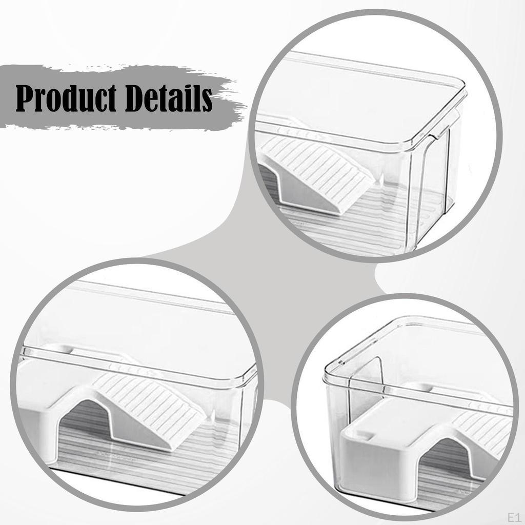 Аквариум для черепах Экологический ландшафт Прочный террариум Аксессуары Среда обитания рептилий