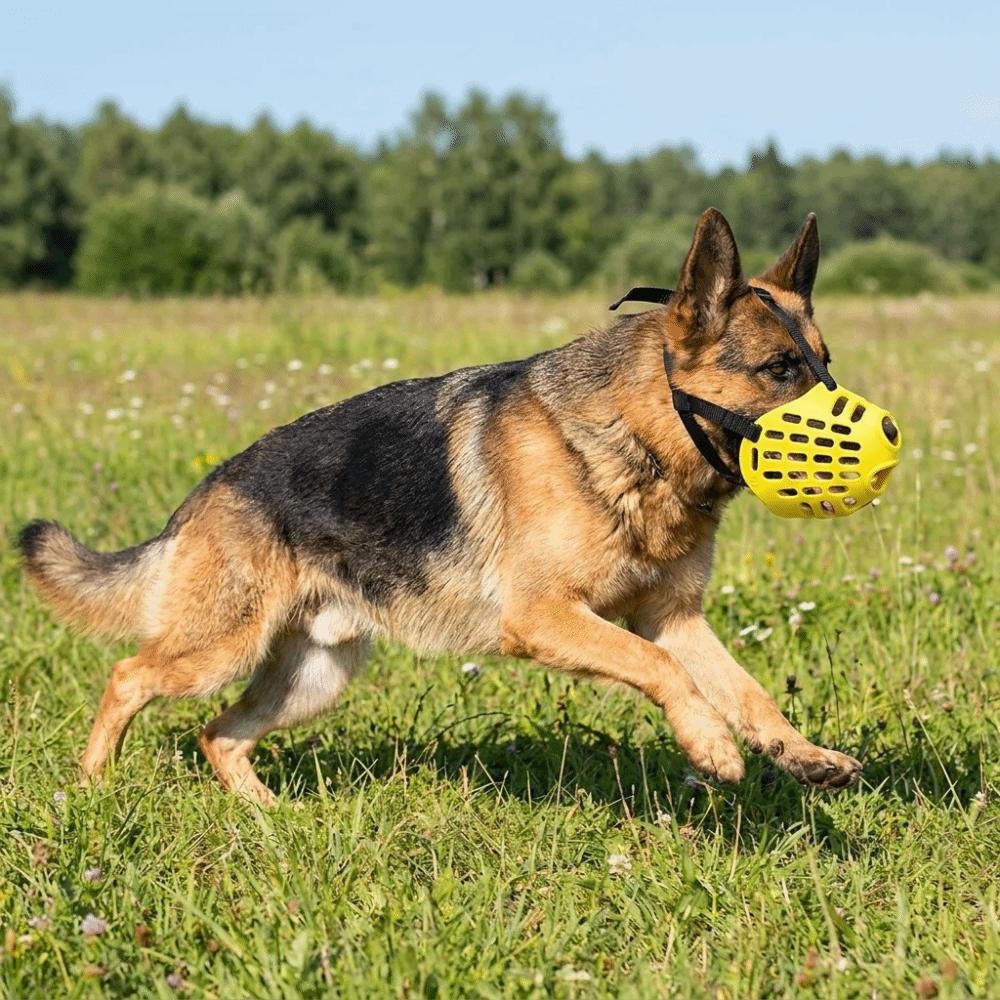 Adjustable Pet Muzzle Breathable Dog Stop Barking Mask Practical Dog Mouth Guard Outdoor