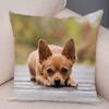 Cute Pet Animal Pillowcase Decorative Cute Puppy Chihuahua Pillowcase Soft Plush Cushion Cover for Car Sofa Home 45x45cm