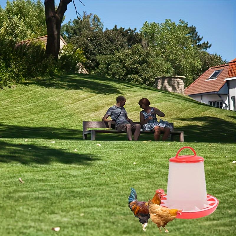 Chick Quail Hanging Feeder Set, Outdoor Farm Chicken House Chick Feeder and Water Container, Poultry Feeding Kit