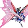 METAL ROBOT Spirits <SIDE MS> Destiny Gundam Spec II Wings of Light & Effect Set (Mobile Suit Gundam SEED FREEDOM)