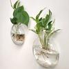 Office Vase Wall Hanging Glass Wall Decoration Hydroponics Semi-Circular