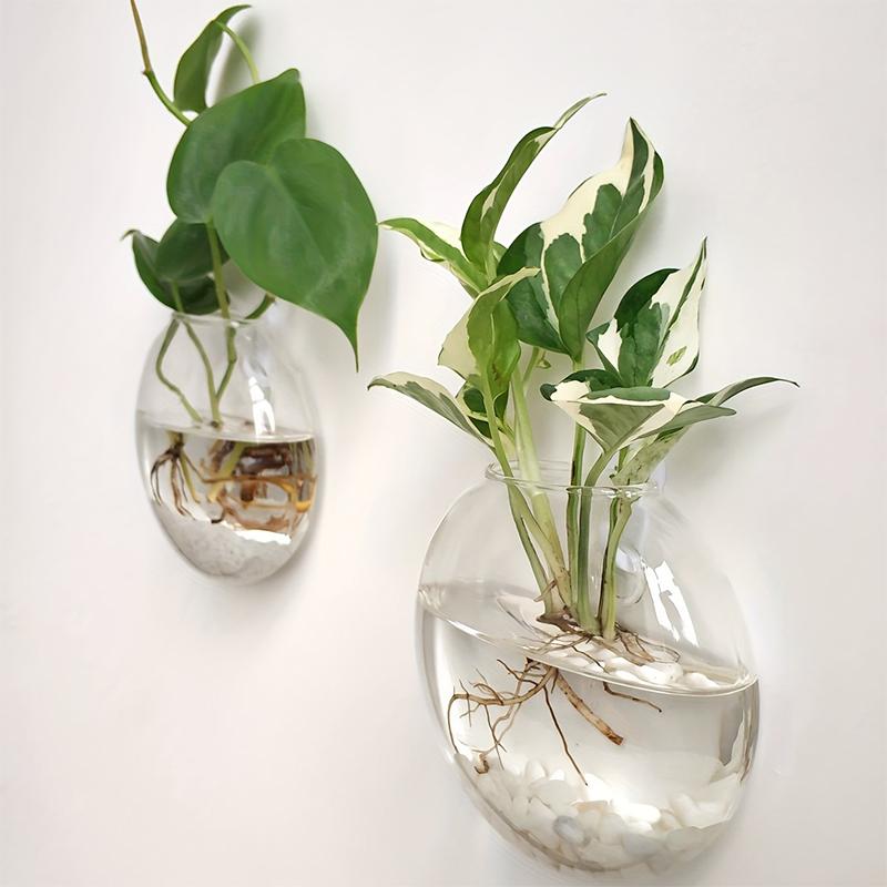 Office Vase Wall Hanging Glass Wall Decoration Hydroponics Semi-Circular
