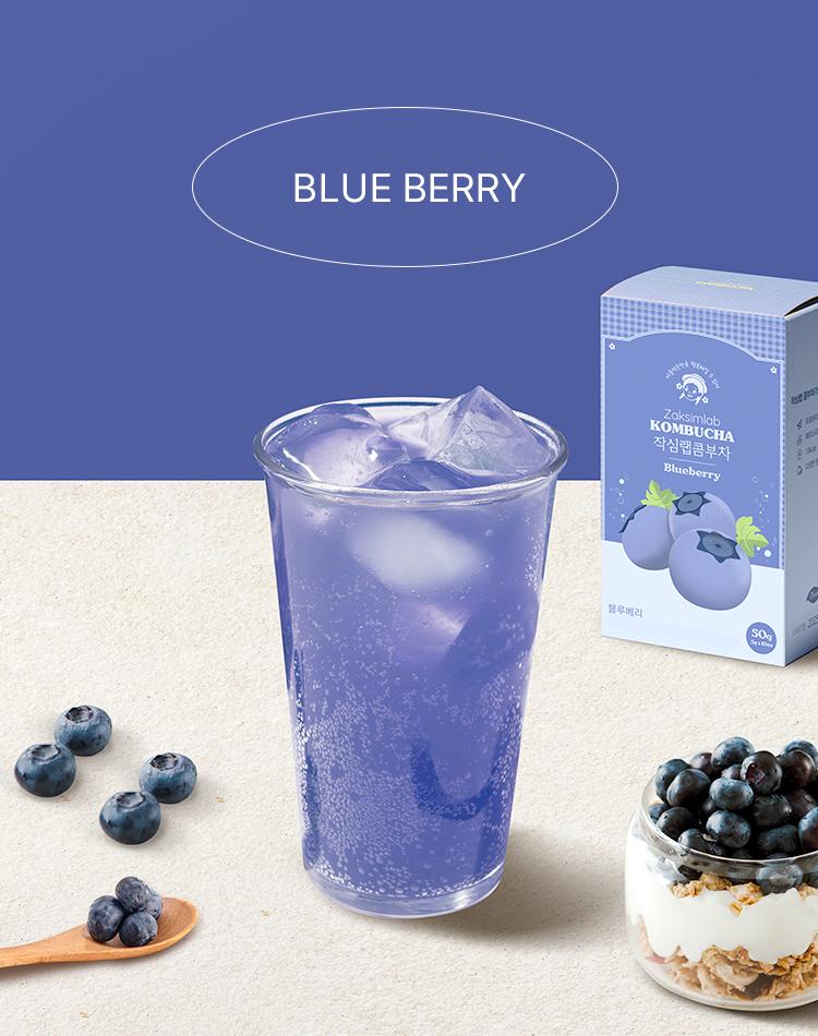 Jaksim Lab Kombucha Blueberry Flavor 10 Packets