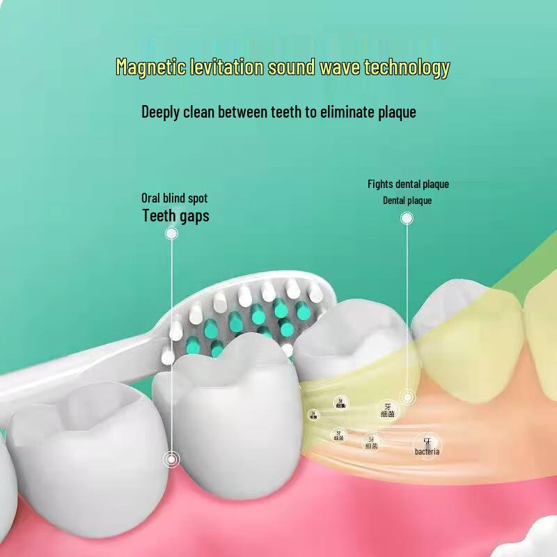 Shangheng Sonic Electric Toothbrush