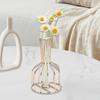 Настольная гидропонная ваза-кашпо террариумы бутон комнатные растения современное украшение стола цветочный горшок