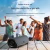 Cleer Stage Portable Smart Bluetooth Speaker CN plug (adapter included)