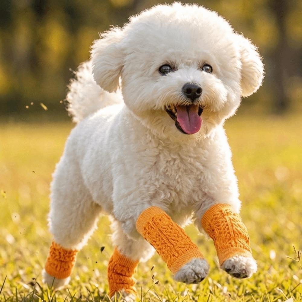 4PCS Breathable Dog Knee Socks Stretchy Non Slip Dog Elbow Cover Skin Friendly Anti Scratch Pet Knee Protectors for Four Seasons 2