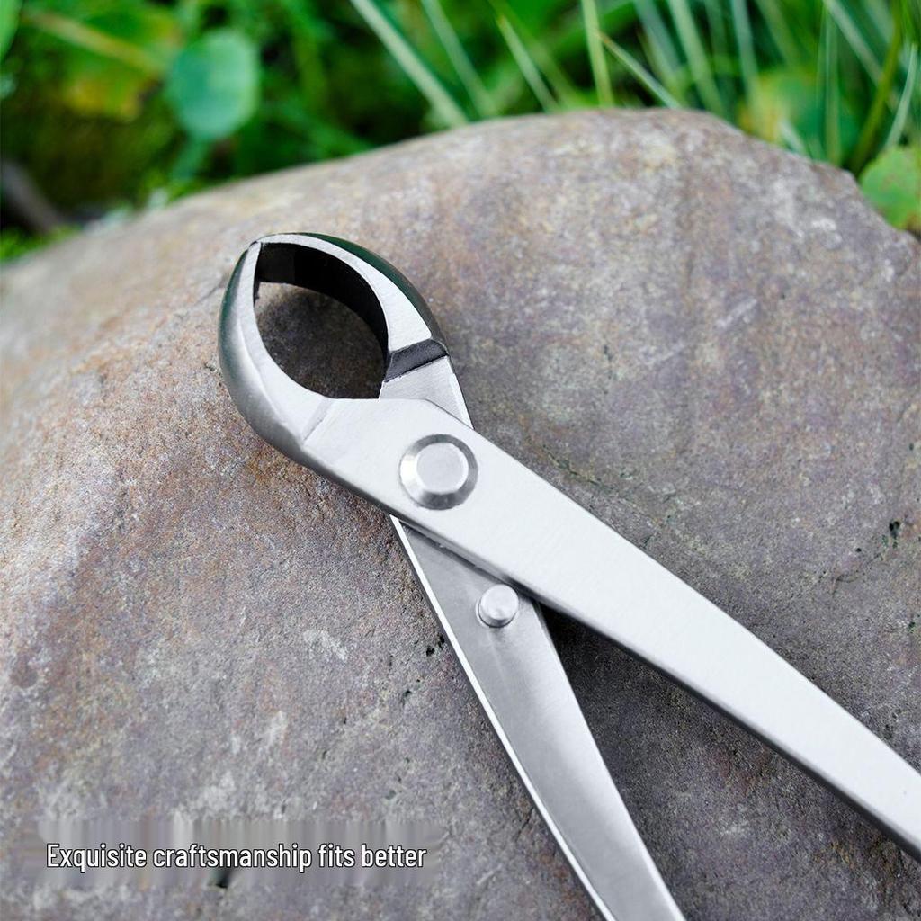 Bonsai Shaping Tools: Round & Oblique Mouth Shears, Ball Joint Pliers, Gardening Flower Pruners, Tree Burl Pruners.