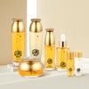 Yejihoo Jamyeong Oriental Medicine Gold Skin Care Набор из 5 предметов