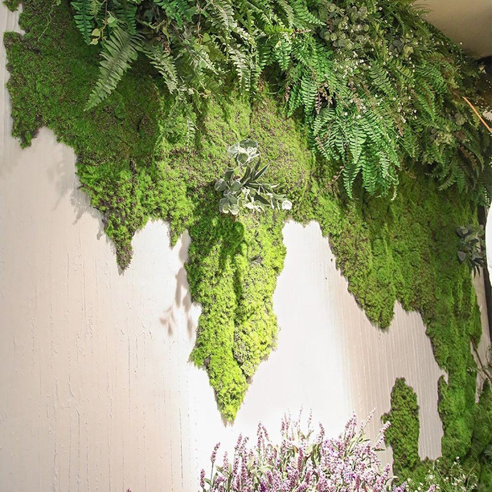 Living Room Fake Flowers Green Plants Artificial Plants Eternal Moss Moss Garden Decoration