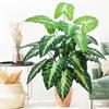 Для 60-107см Искусственные цветы Калла Лилия Лист подковы Лист черепахи Лист рыси Искусственное растение Декоративное Праздничное украшение для дома