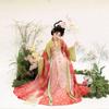 Womens Tang Dynasty Style Hanfu Set With Embroidered Peasant Skirt Chiffon Top Sash Fall Winter Wear