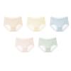 Women's Ultra Thin Ice Silk Underwear Seamless Mid Waisted Stretchy Panties Ladies