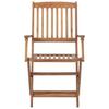 Folding Garden Chairs 2 pcs Solid Acacia Wood