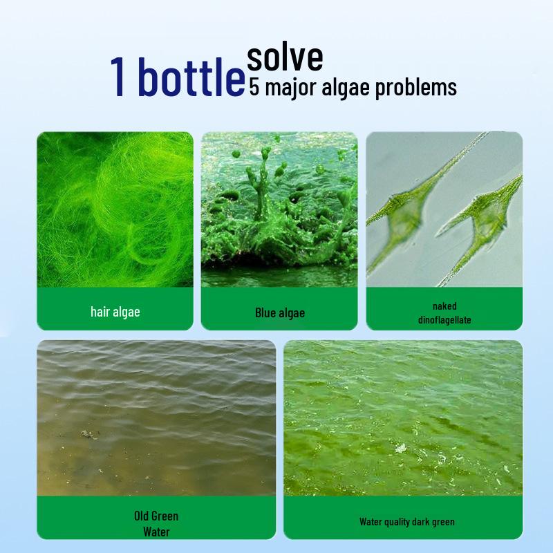 Альгицид для пруда с кои: Безопасно для рыб, удаляет зеленые, сине-зеленые и бурые водоросли, средство для удаления мха.