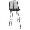 Barstool 2 pcs 44 x 52 x 111 cm Rattan and Iron