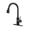 TLXT Kitchen Pull-Out Rain Spray Faucet