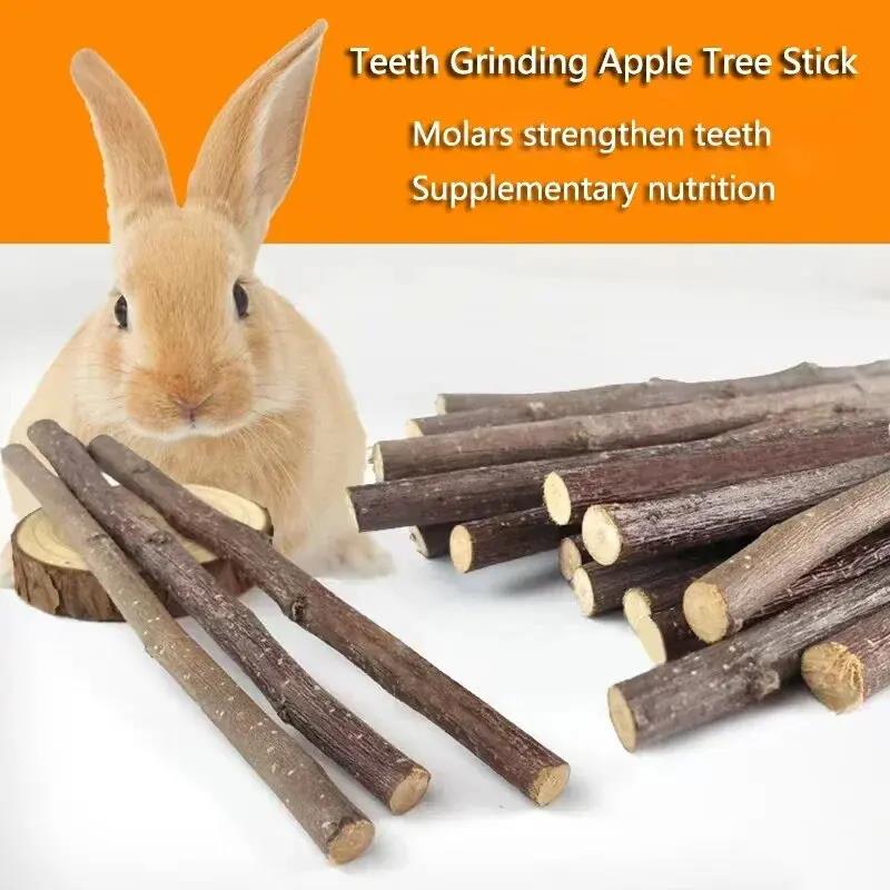 20/40/80/100pcs Hamster Rabbit Teeth Grinding Apple Tree Stick Minerals Molar Stone Toys for Chinchilla Hamster Pet accessories 5