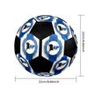 Arminia Bielefeld Indoor Soccer Ball Colorful Machine Stitched PVC Size 5 Team Training Competition Ready Durable High-Bounce Cool Sports Gift