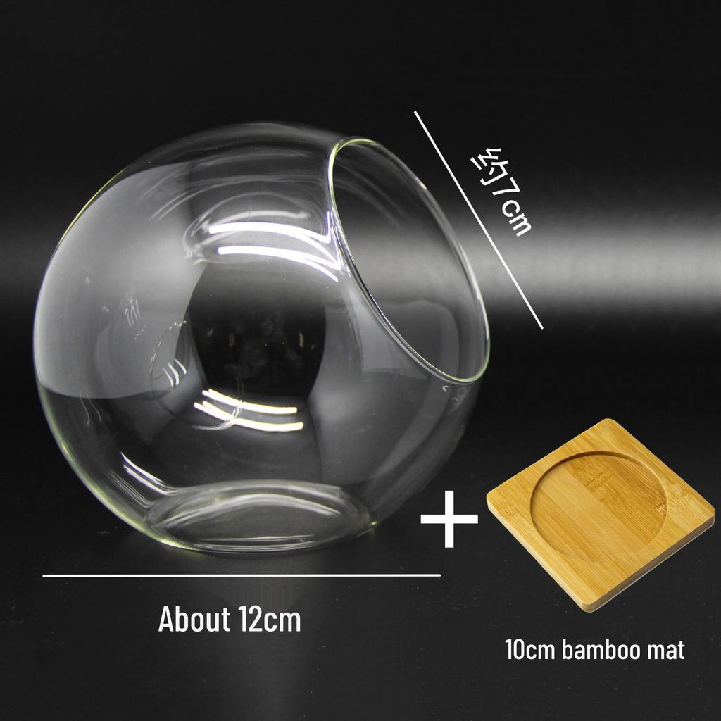 Круглая стеклянная ваза с косым горлышком для суккулентов и микроландшафтов