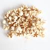 Pistachio Cross Fruit & Fish Scale Pine Gomphrena DIY Dried Flower Weaving Material