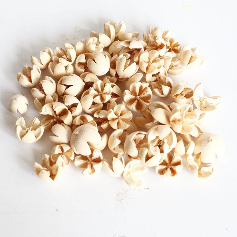 Pistachio Cross Fruit & Fish Scale Pine Gomphrena DIY Dried Flower Weaving Material