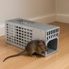 Reusable Humane Mouse Trap Metal Rat Trap Multi-Function Mouse Catcher  All Mice Fit