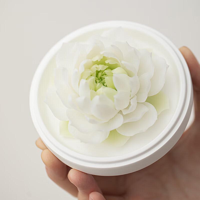 Elegant Light Green Gradient Ceramic Tea & Aroma Gift Set