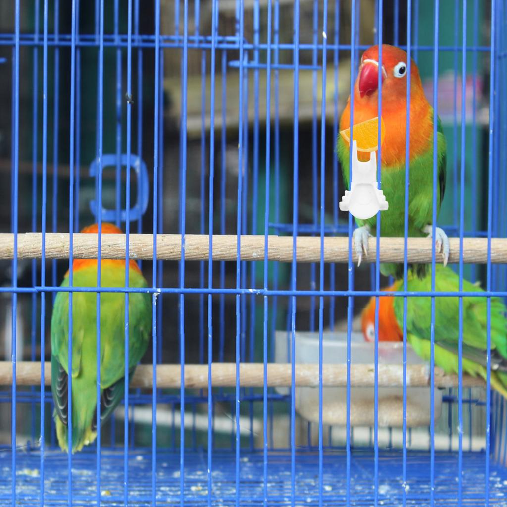 8 Pcs Bird Food Feeder Accessory for Parrots Hamster Snack Holder Feeding Tool