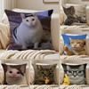 Смешные Мемы с Кошками Подушка Чехол для Подушки Шелковистый Короткий Плюш Чехол для Диванной Подушки Скрытая Молния Мягкий Пылезащитный Чехол для Домашнего Декора