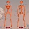 Halloween Poseable Human Skeleton Full Life 35.43 Inch Large Size Props Party Decor