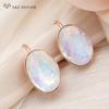 Fashion Rose Gold Color Egg Shape Crystal Drop Earrings For Women Wedding Elegant Jewelry Trendy Eardrop