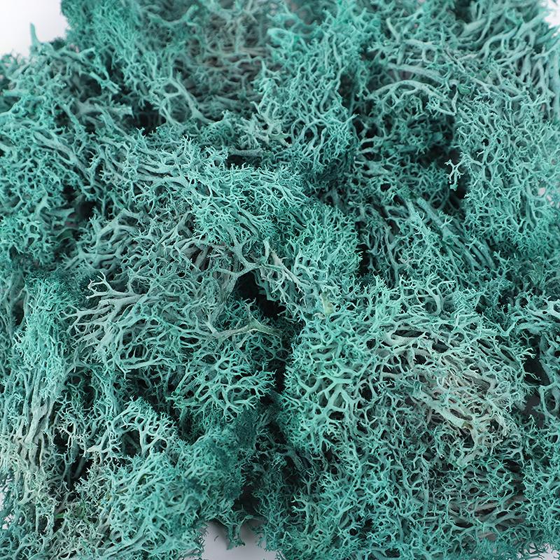 20/40/100g Artificial Green Plants Eternal Life Moss Grass DIY Crafts for Home Garden Room Decoration Mini Landscape Fake Flower