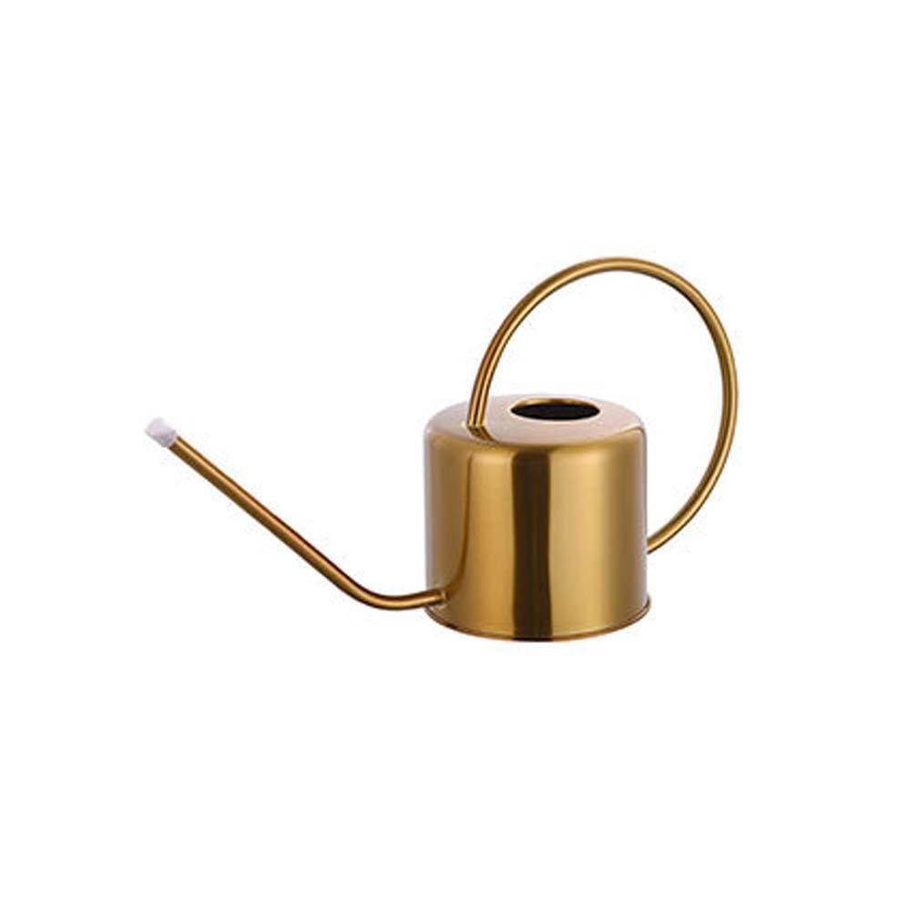 Stainless Steel Long Spout Watering Can Rustproof Leakproof Spray Kettle Watering Can Indoor