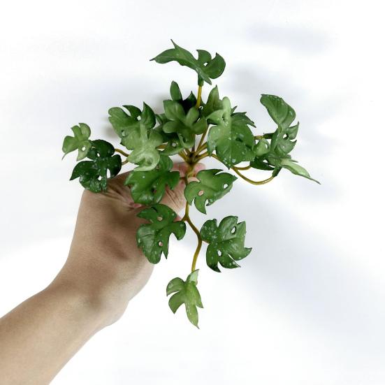 Имитация зеленого растения Суккуленты Руки на ощупь не увядшие Не выцветают Легкий уход Тонкая работа Орнамент Листья кориандра Искусственный лист