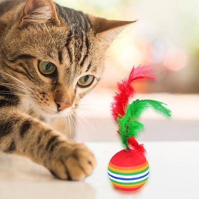 12 шт. Игрушки для активности кошек, смешные цветные радужные, с легким светом, нетоксичные, супер милые, красивые игрушечные шарики с перьями для котенка