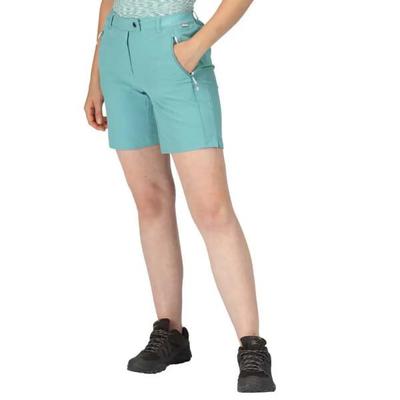 Regatta Шорты Mountain ShortsII