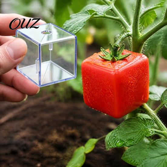Garden Fruit Shaping Kits Growing Mold, Transparent Forming Mould for Pear Novelty Molds Apple Watermelon, Reusable Tool Special Shaped Fruits Square